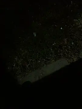 Nicusorescu26 online show from 10/14/25, 03:18