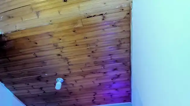 Namiko Park online show from 01/30/25, 04:02