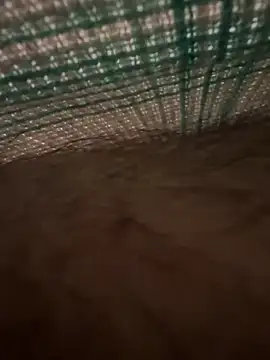 Snapshot of studdboyy chatting on 12/17/25, 03:34 studdboyy online show from 12/17/25, 03:34