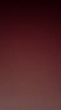 Snapshot of Sexy-Mona2 chatting on 12/13/24, 12:06 Sexy-Mona2 online show from 12/13/24, 12:06