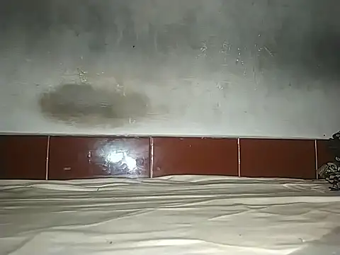 Snapshot of alansteer chatting on 10/21/25, 08:15 alansteer online show from 10/21/25, 08:15