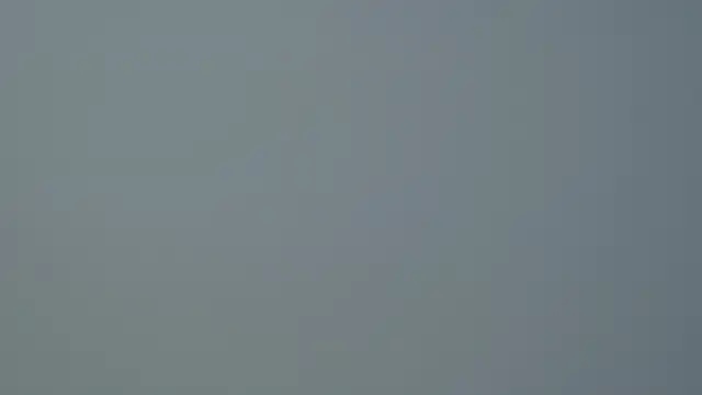 SelinSwarovski online show from 10/14/25, 04:46