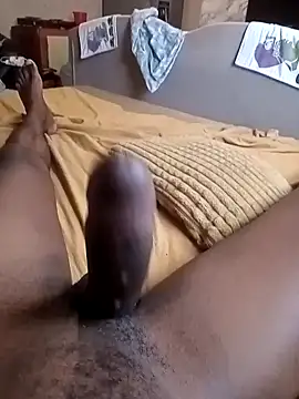 Lexwelll online show from 03/28/26, 08:47