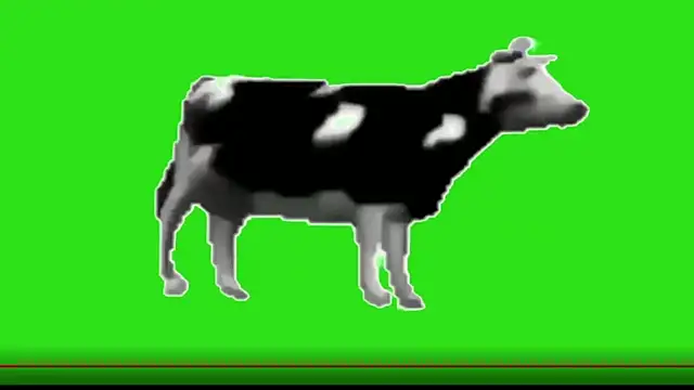 Snapshot of awesome_anna chatting on 02/13/26, 10:55 awesome anna online show from 02/13/26, 10:55