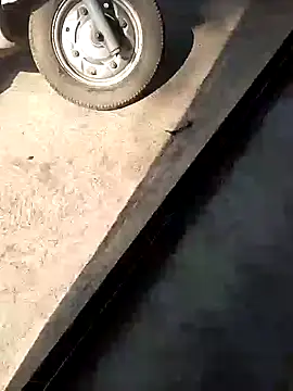 PracticalGum40 online show from 12/10/24, 07:58