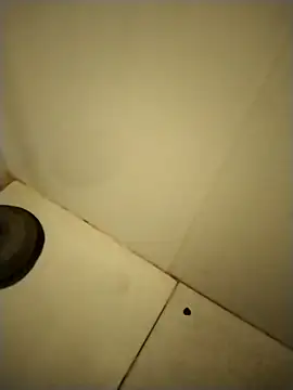 PracticalGum40 online show from 12/12/24, 01:39