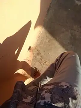 PracticalGum40 online show from 01/11/26, 03:33