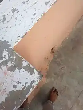 PracticalGum40 online show from 02/21/26, 03:07