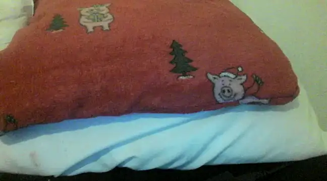 bunnyamy online show from 12/05/24, 06:00