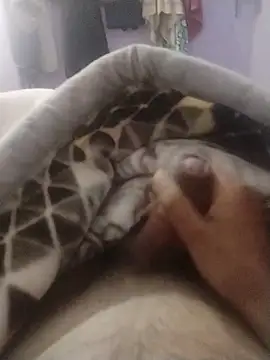 Snapshot of Noname333u chatting on 12/18/25, 07:36 Noname333u online show from 12/18/25, 07:36