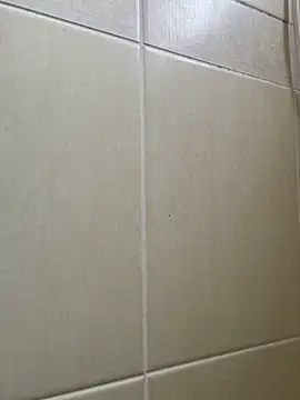 Majorcumlive online show from 06/13/26, 11:30