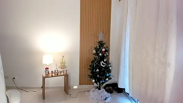  Sam sexy  online show from 12/28/24, 09:08