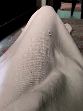 faaseel online show from 10/28/25, 04:49