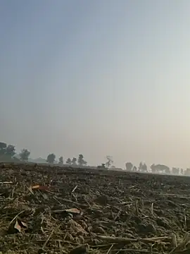 imissyoumylove14 online show from 12/10/24, 03:09