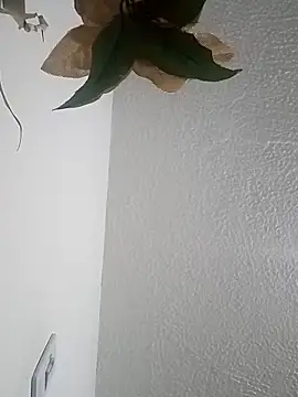 Naomy veracruz  online show from 04/12/26, 11:04