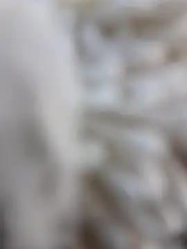 lemon69Reo online show from 02/15/26, 08:38