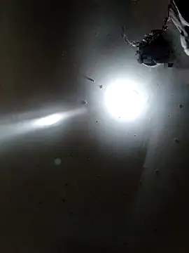 Innsaciable online show from 04/11/26, 11:31