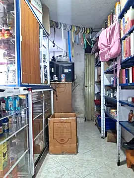 nidia2026 online show from 02/14/26, 01:08