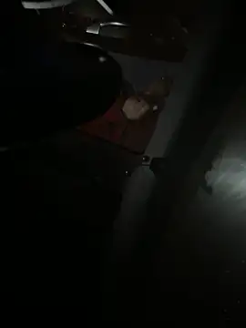 Snapshot of Mustafa-231 chatting on 11/29/25, 06:33 Mustafa-231 online show from 11/29/25, 06:33