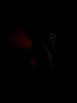 RMP05 online show from 12/21/24, 02:09