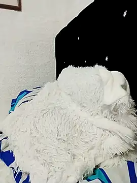 ElizabethWeil online show from 12/15/25, 03:16