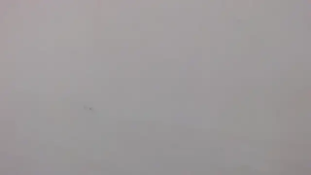 danilo302209 online show from 01/27/25, 03:07