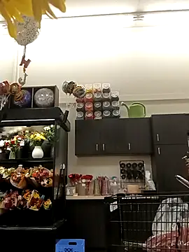 Snapshot of kobrashekyng chatting on 10/20/25, 02:39 kobrashekyng online show from 10/20/25, 02:39