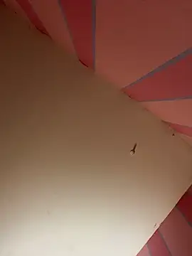 mikeJak online show from 03/23/25, 07:09