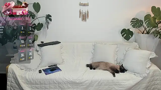 Snapshot of Amie_Hill chatting on 02/16/26, 07:37 Amie Hill online show from 02/16/26, 07:37