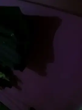 Mastar212 online show from 12/02/25, 08:26