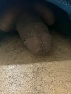 chikagokadi31 online show from 04/10/26, 03:28