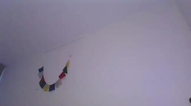 Jorge34410 online show from 12/08/24, 03:35