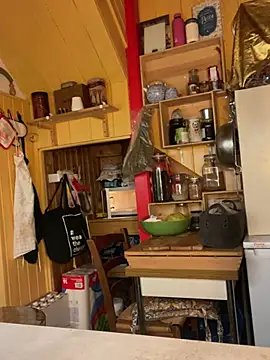 zenzero87 online show from 12/29/24, 04:27