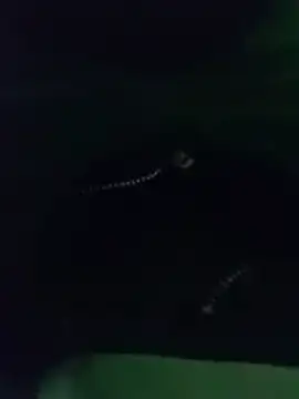 thanos65432 online show from 03/18/26, 05:32