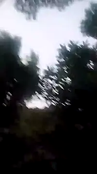 Danna-linyi online show from 12/20/24, 11:37