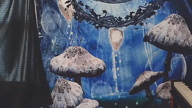  hellostormy  online show from 02/16/26, 07:21