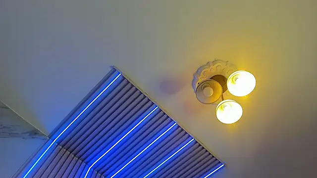 misscheelsee online show from 03/17/25, 07:26