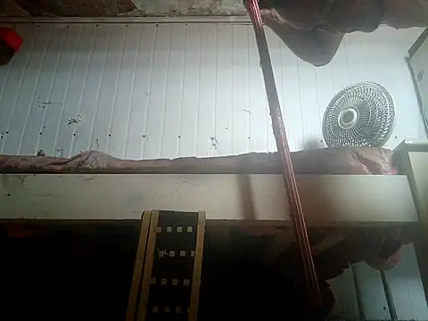 frotasso online show from 02/14/26, 02:25