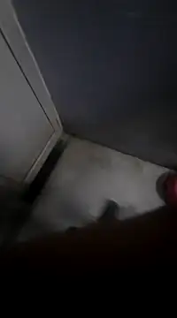 Ritikdesi online show from 03/02/25, 05:23