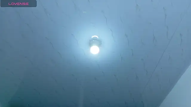 Beautifulkattia online show from 02/14/26, 12:29