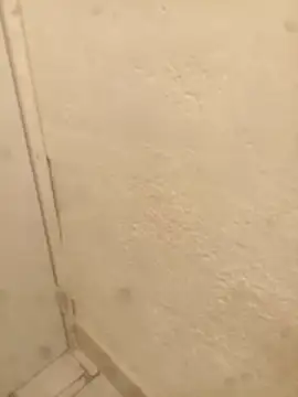 FlacoRiaton online show from 02/10/26, 08:07