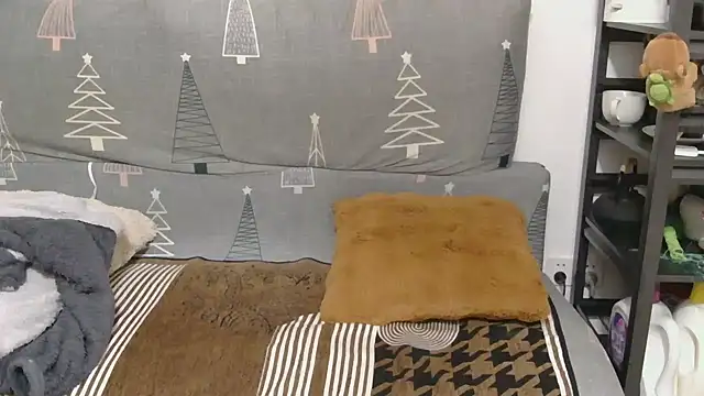 866532 online show from 12/17/25, 07:58