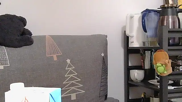 866532 online show from 12/19/25, 01:23