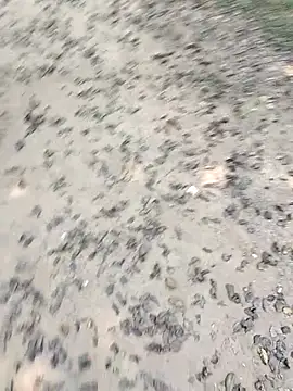 chootkapyasa007 online show from 10/22/25, 07:19