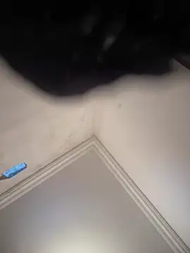 Snapshot of hot_girl_dina chatting on 02/08/25, 11:01 hot girl dina online show from 02/08/25, 11:01