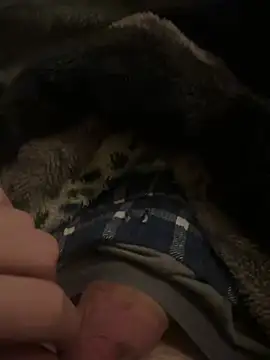 hamoo23p online show from 02/22/26, 02:45