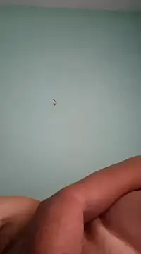 alexjs84 online show from 12/16/24, 11:12