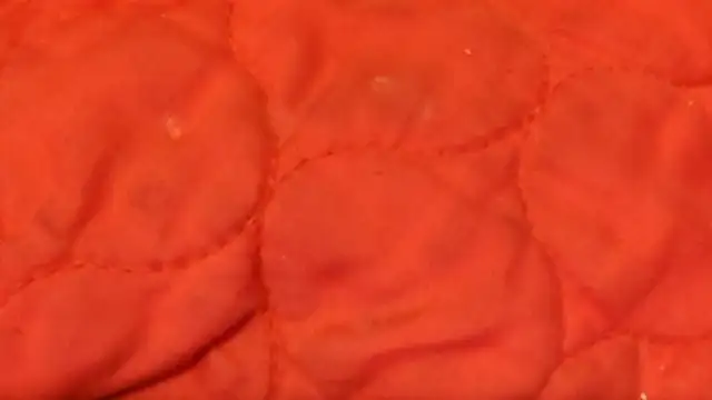 Huntzg23 online show from 11/28/25, 07:44