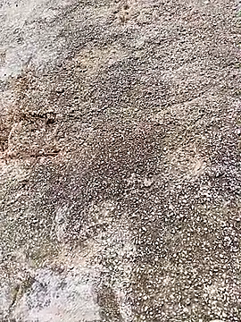 Eleni Pappa online show from 04/06/26, 09:10