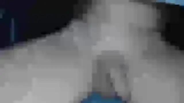 Snapshot of cs1512 chatting on 02/13/25, 06:38 cs1512 online show from 02/13/25, 06:38